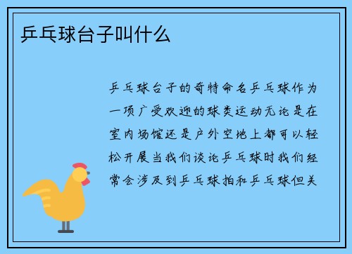 乒乓球台子叫什么