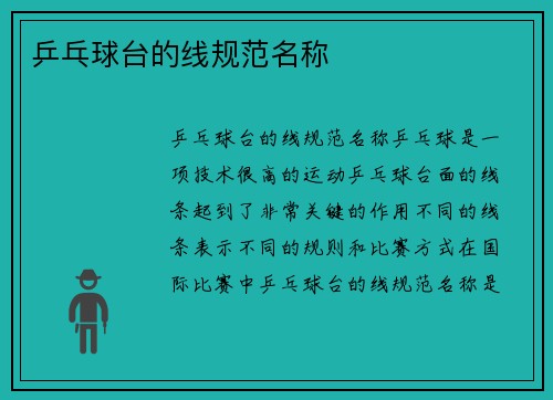 乒乓球台的线规范名称